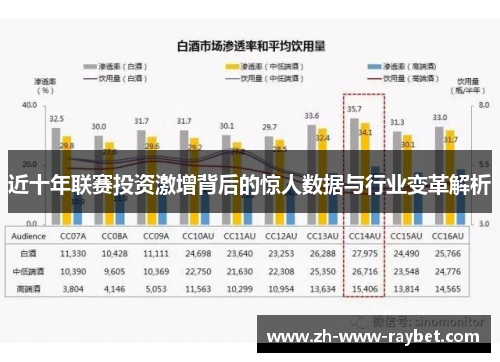 近十年联赛投资激增背后的惊人数据与行业变革解析