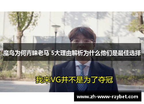 魔鸟为何青睐老马 5大理由解析为什么他们是最佳选择 魔鸟为何青睐老马 5大理由解析为什么他们是最佳选择