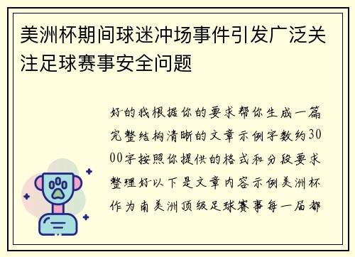 美洲杯期间球迷冲场事件引发广泛关注足球赛事安全问题 美洲杯期间球迷冲场事件引发广泛关注足球赛事安全问题